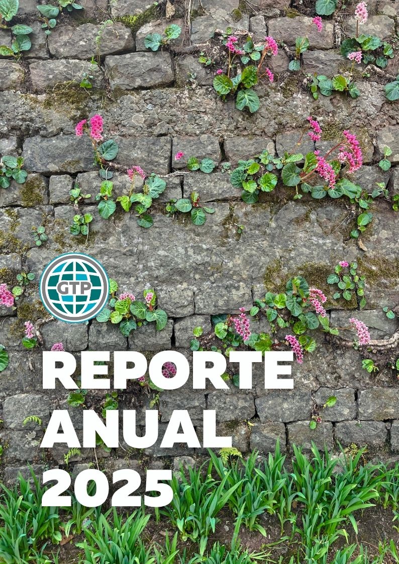 GTP Reporte Anual 2025